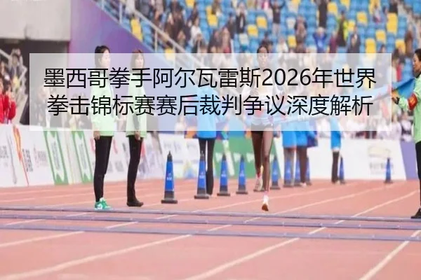 墨西哥拳手阿尔瓦雷斯2026年世界拳击锦标赛赛后裁判争议深度解析